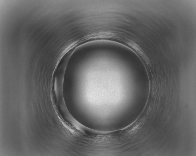 X0000052950850200507151707