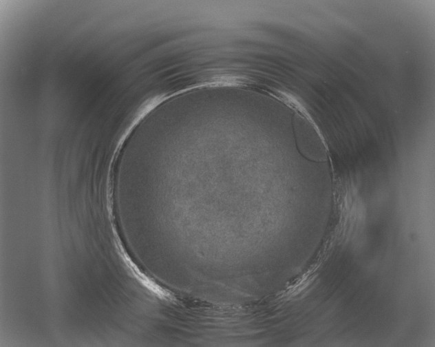 X0000052950851200507151707