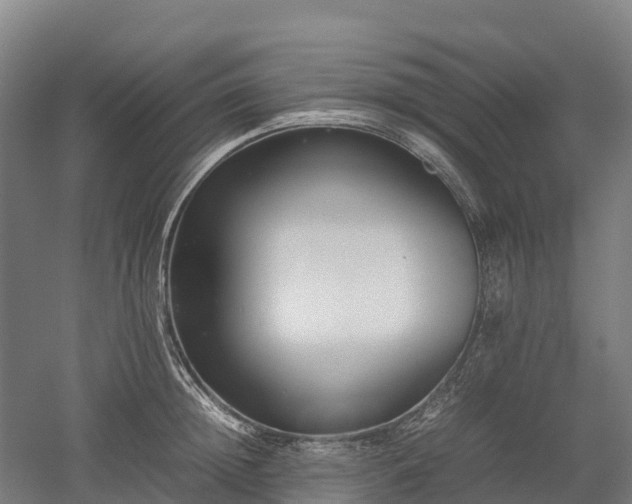 X0000052950852200507151707