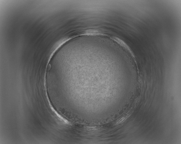 X0000052950855200507151707