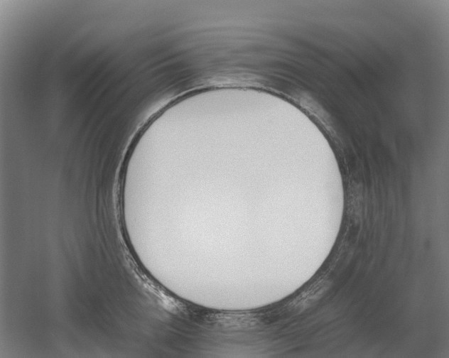 X0000052950856200507151707