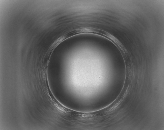 X0000052950857200507151707