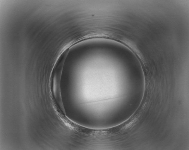 X0000052950858200507151707