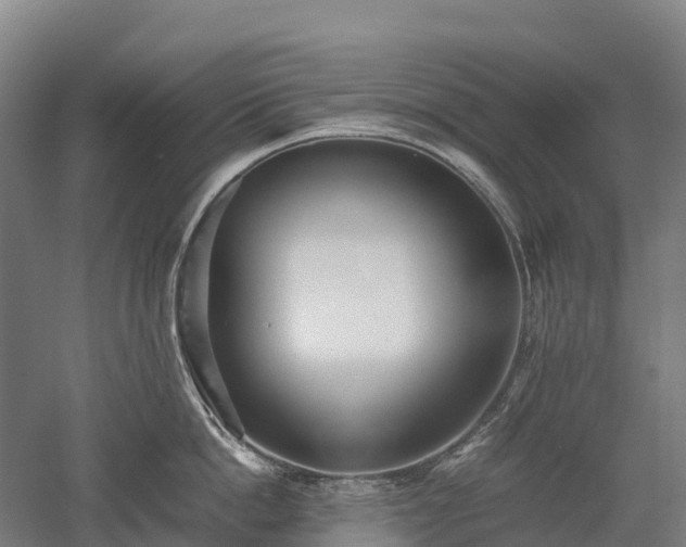 X0000052950862200507151707