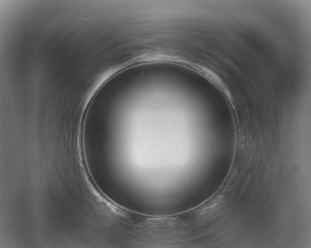 X0000052950863200507151707