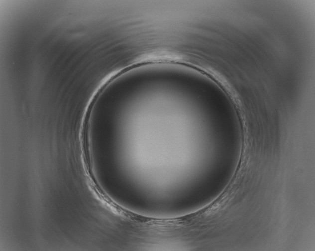 X0000052950864200507151707