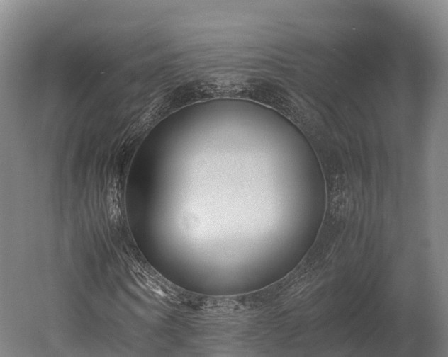X0000052950866200507151707