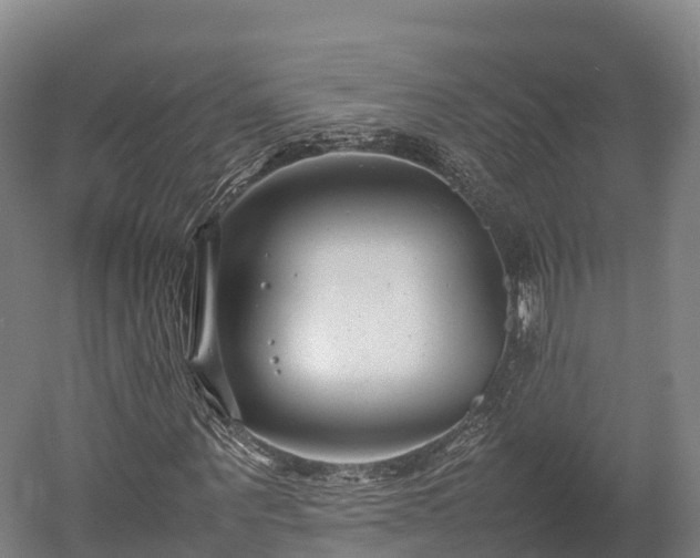 X0000052950867200507151707