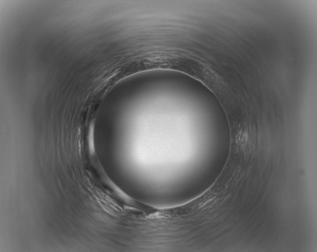 X0000052950868200507151707