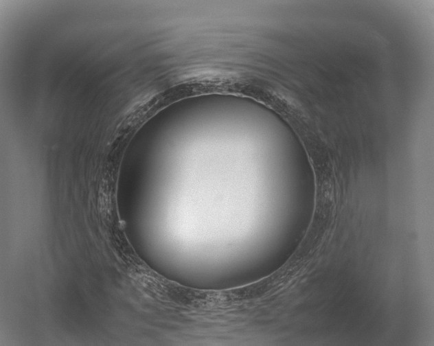 X0000052950869200507151707