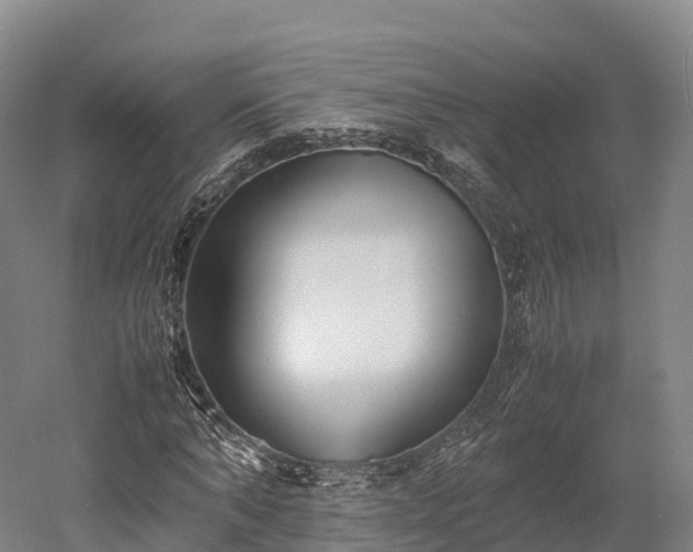 X0000052950870200507151707