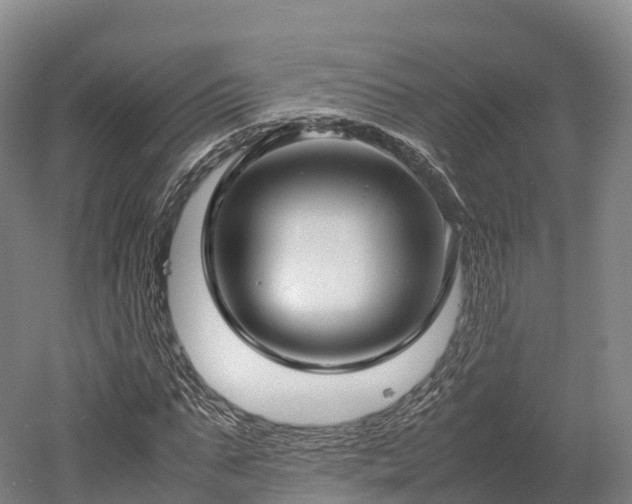 X0000052950871200507151706