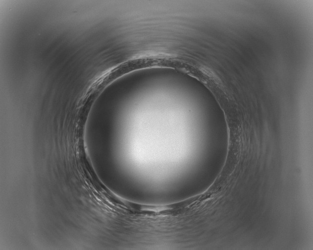 X0000052950872200507151706