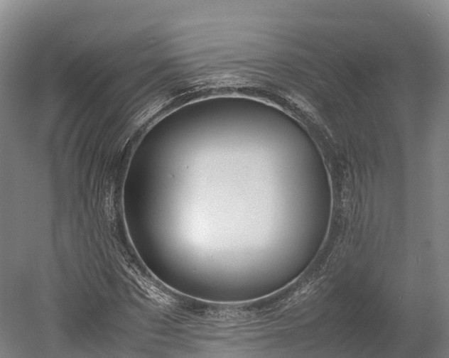 X0000052950873200507151706