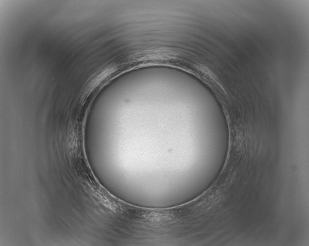 X0000052950874200507151706