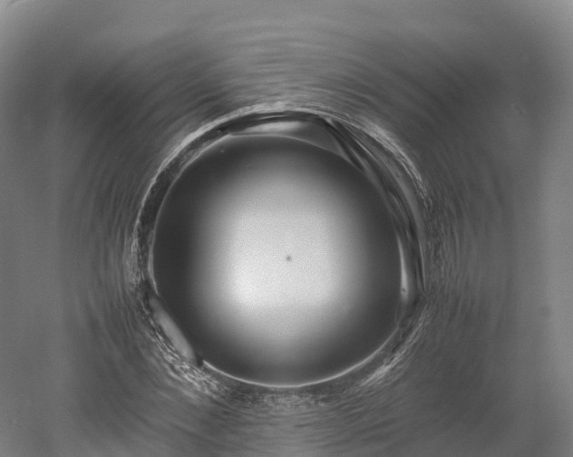 X0000052950876200507151706