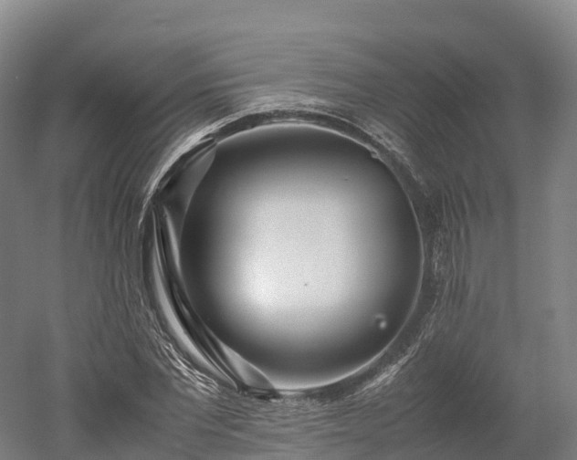 X0000052950877200507151706