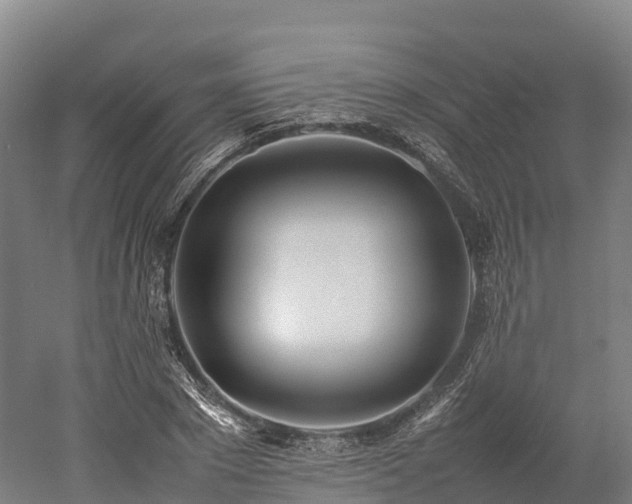 X0000052950881200507151706