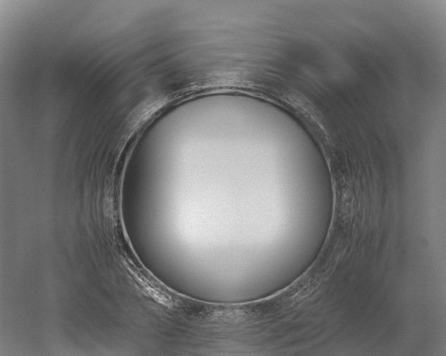 X0000052950882200507151706