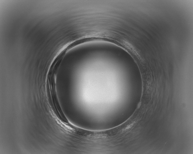 X0000052950884200507151706