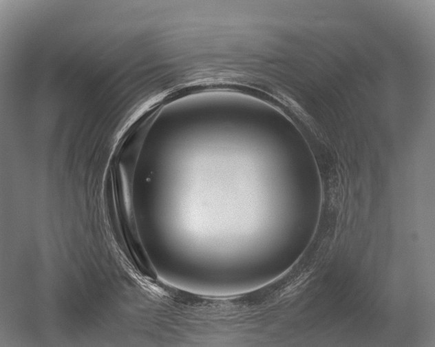 X0000052950885200507151706