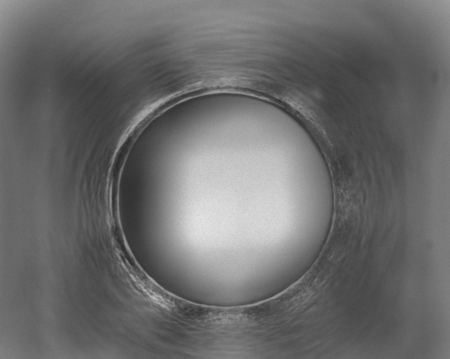 X0000052950886200507151706