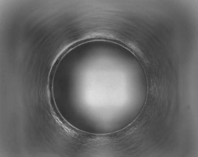 X0000052950888200507151706