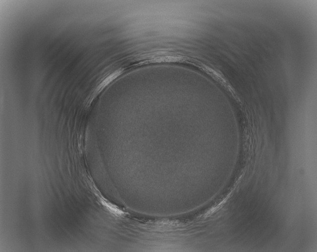 X0000052950889200507151706