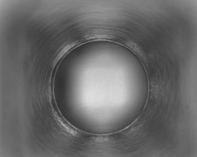 X0000052950890200507151706