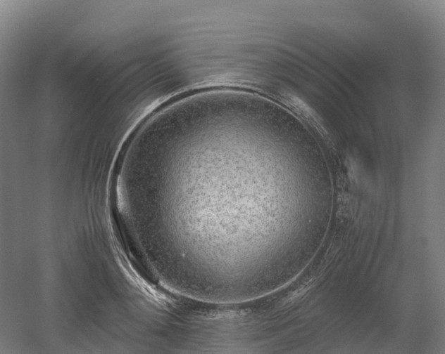 X0000052950892200507151706
