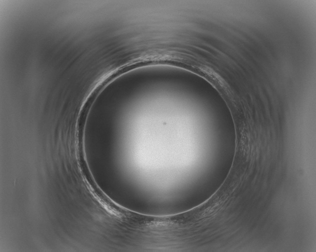 X0000052950894200507151706