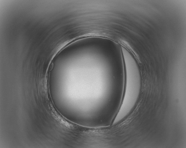 X0000052950900200507151706