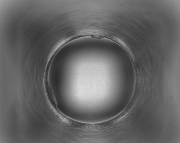X0000052950901200507151706