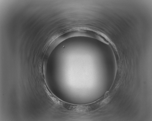 X0000052950905200507151706
