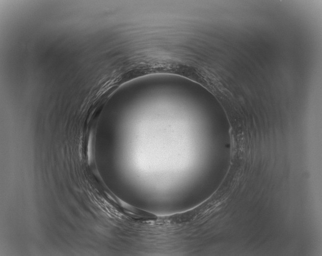 X0000052950916200507151705