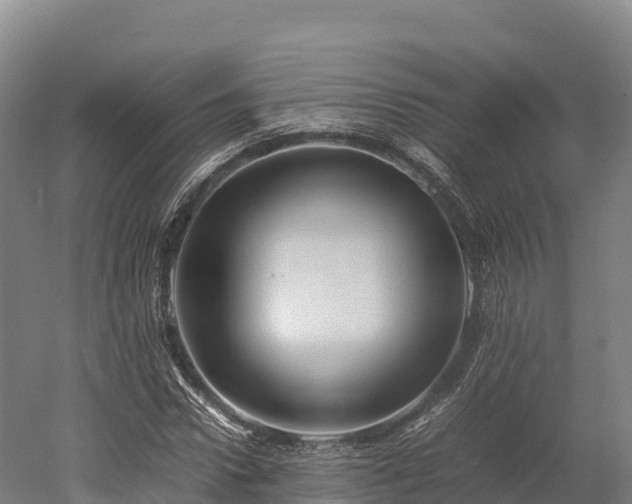 X0000052950922200507151705