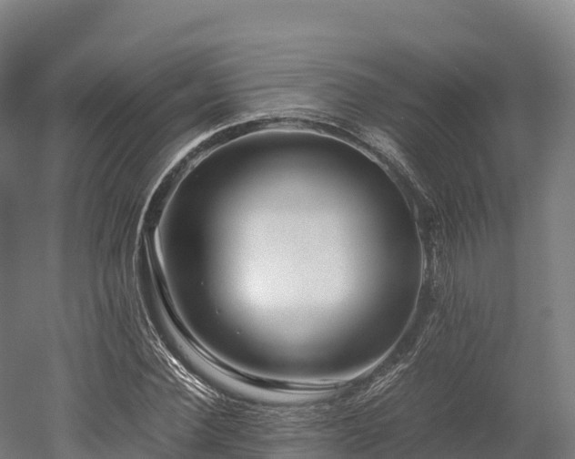 X0000052950924200507151705