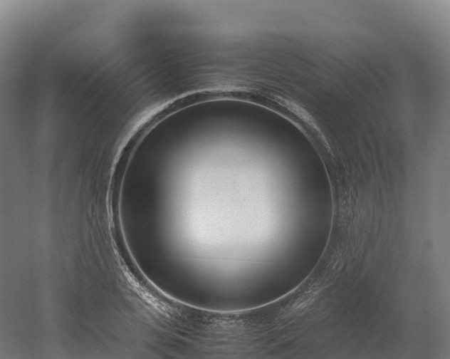 X0000052950935200507151705