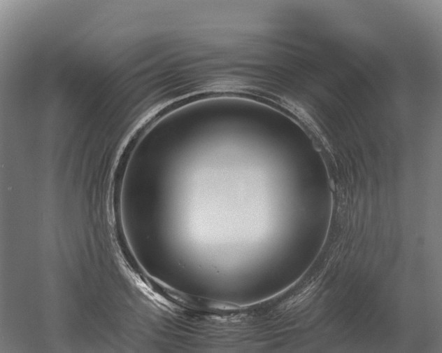 X0000052950939200507151705