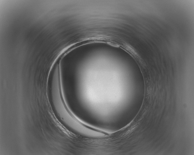 X0000052950940200507151705
