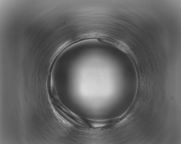 X0000052950946200507151706
