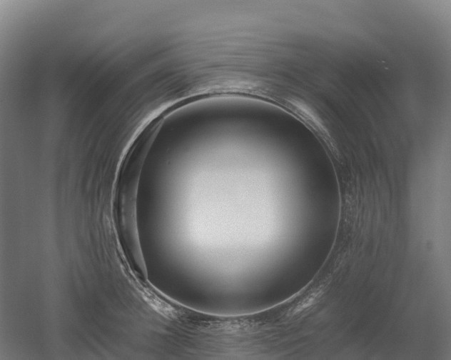 X0000052950948200507151706