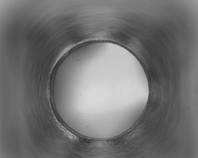 X0000052950950200507151706