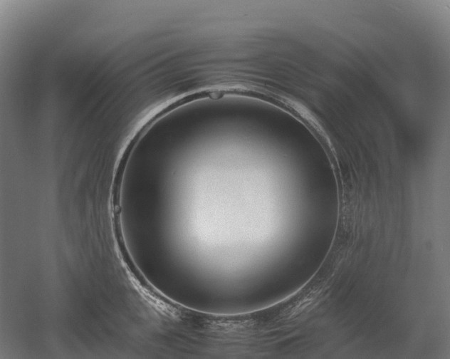 X0000052950951200507151706