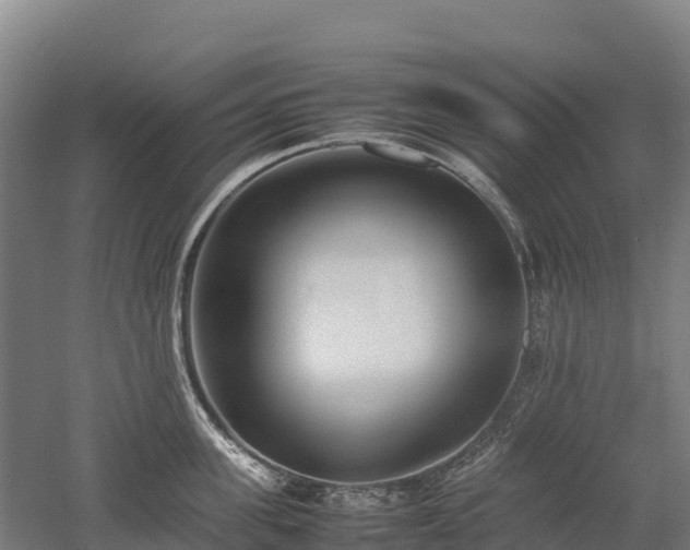 X0000052950955200507151706