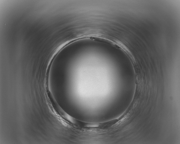 X0000052950956200507151706