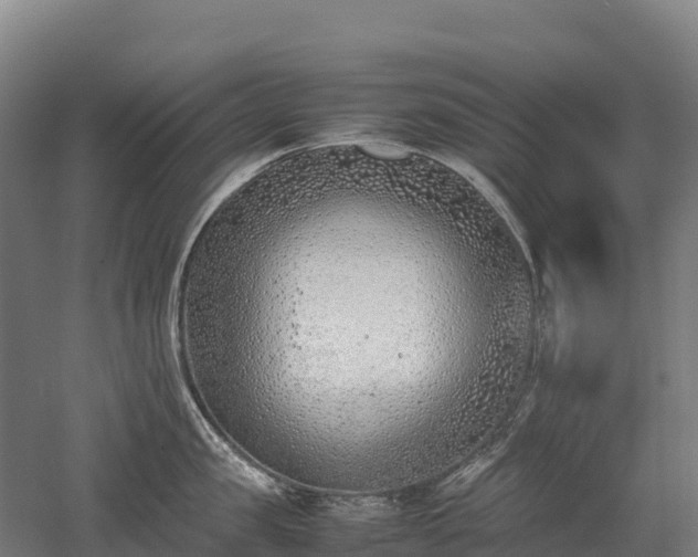 X0000052950957200507151706