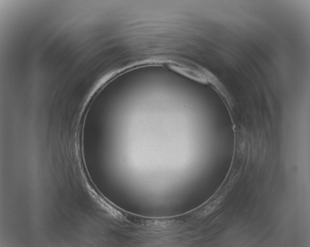 X0000052950958200507151706