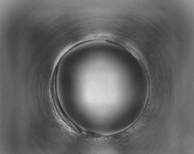 X0000052950960200507151706