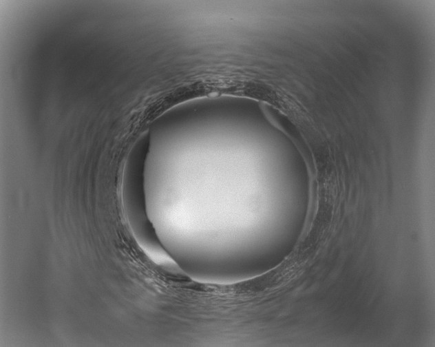 X0000052950961200507151705